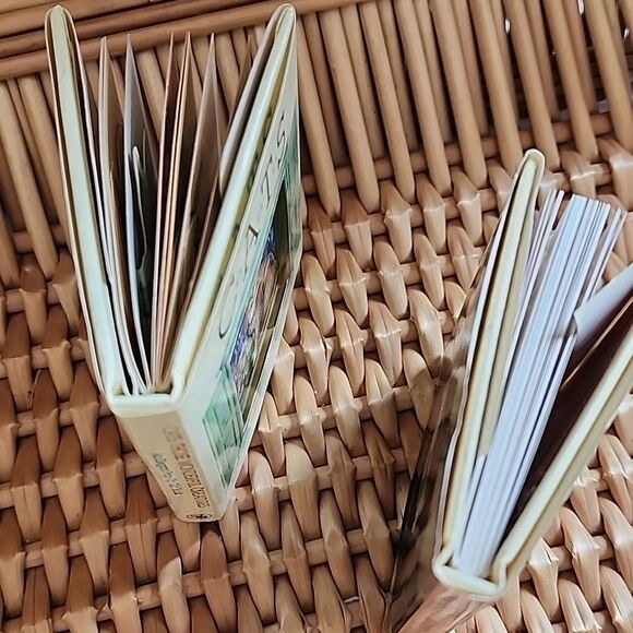 Two Mini Cat Books - Picture 7 of 12